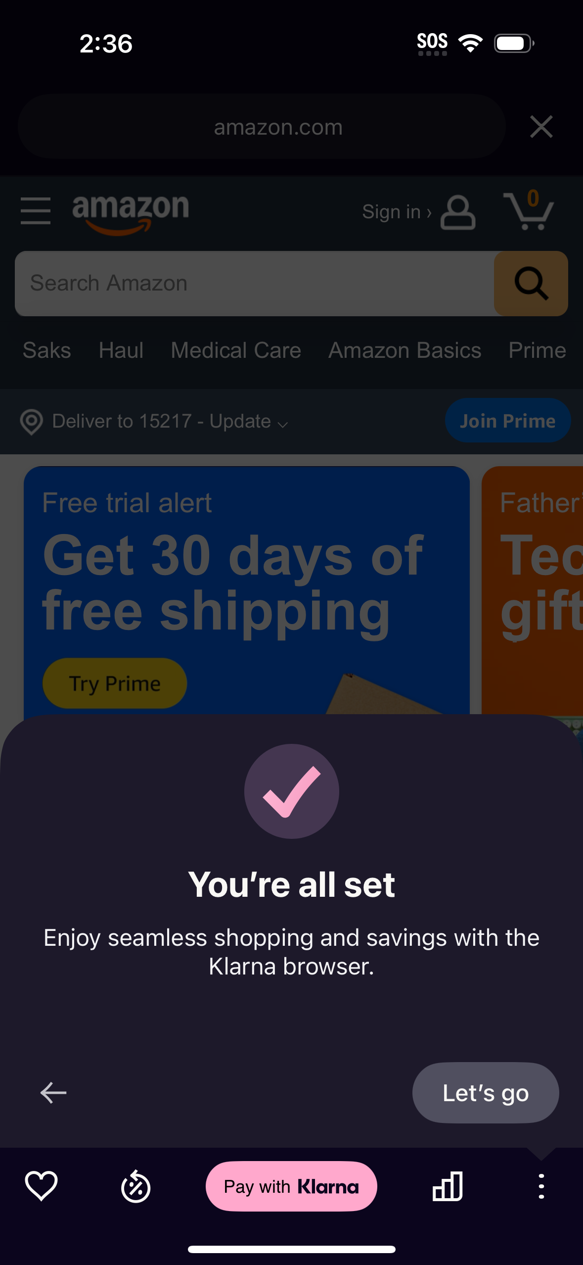 klarna checkout screenshot