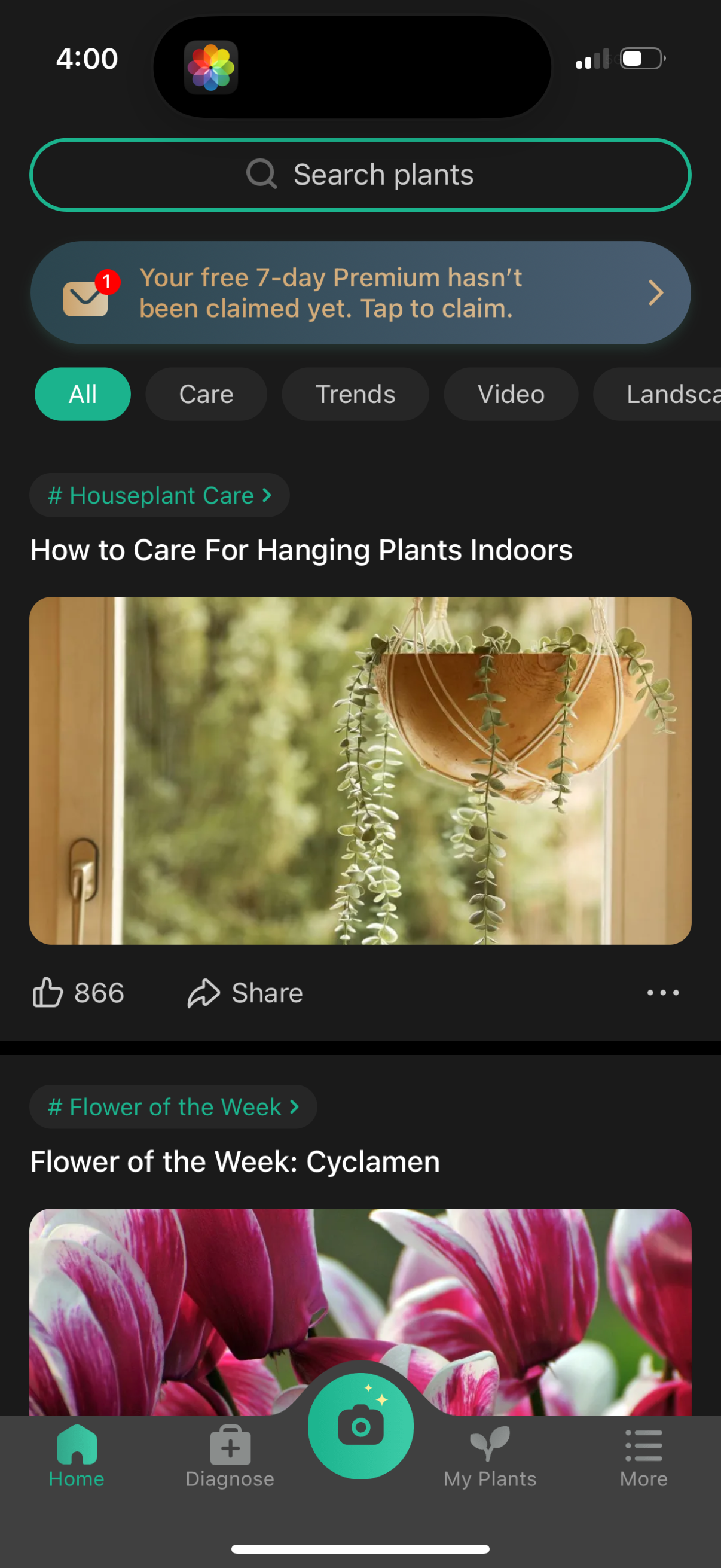 picturethis dashboard screenshot