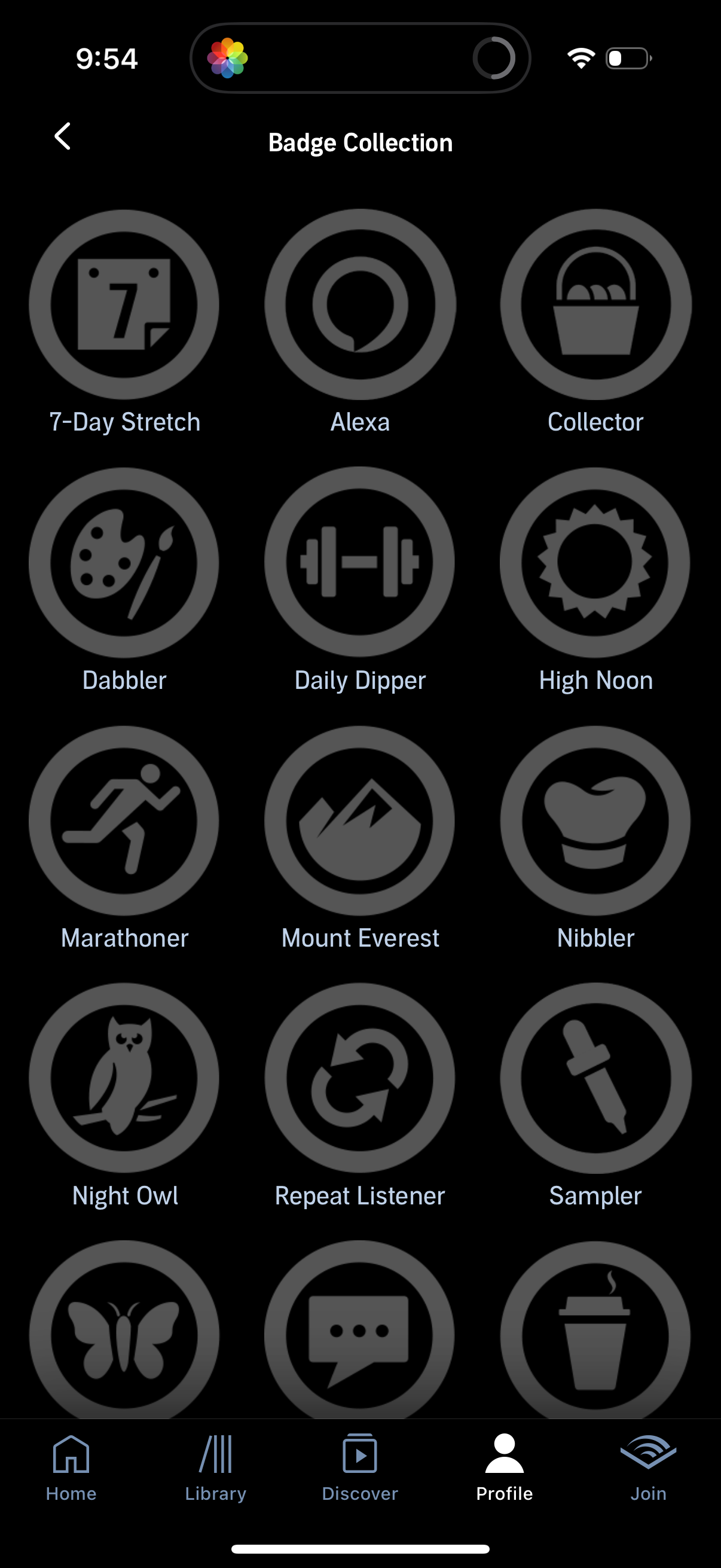 audible dashboard screenshot