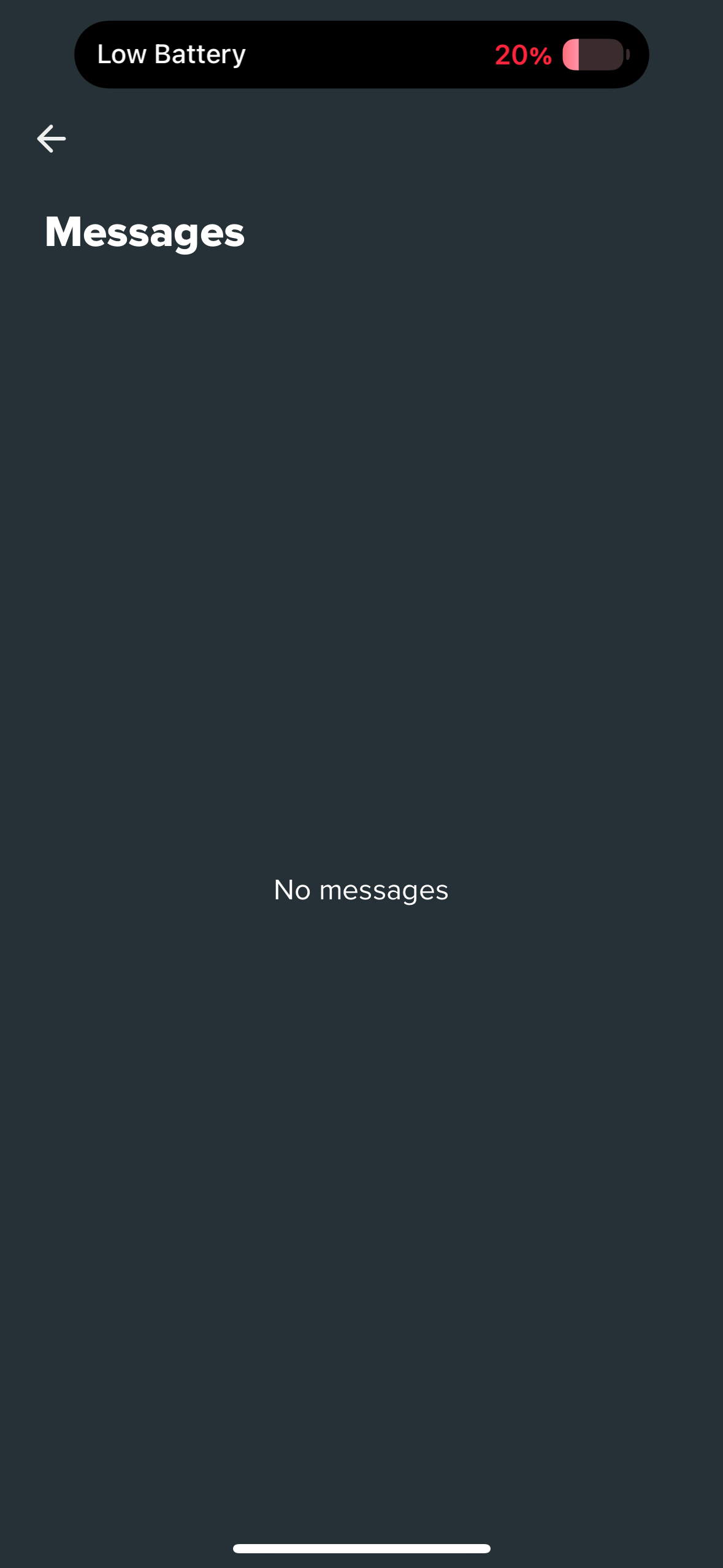 mint-mobile empty-state screenshot