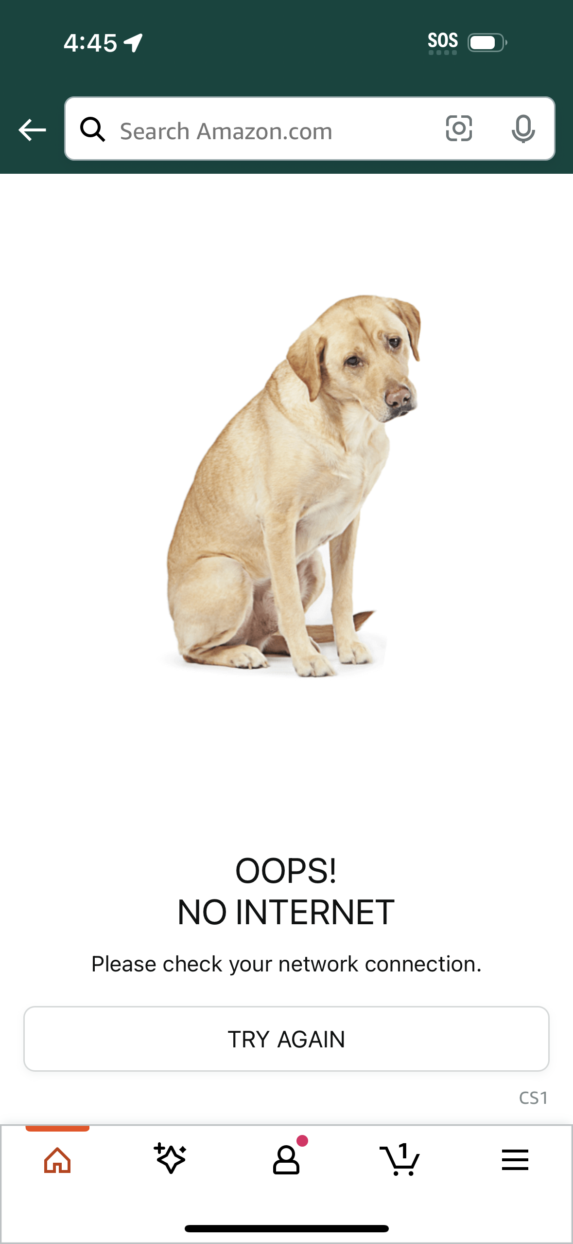 amazon empty-state screenshot