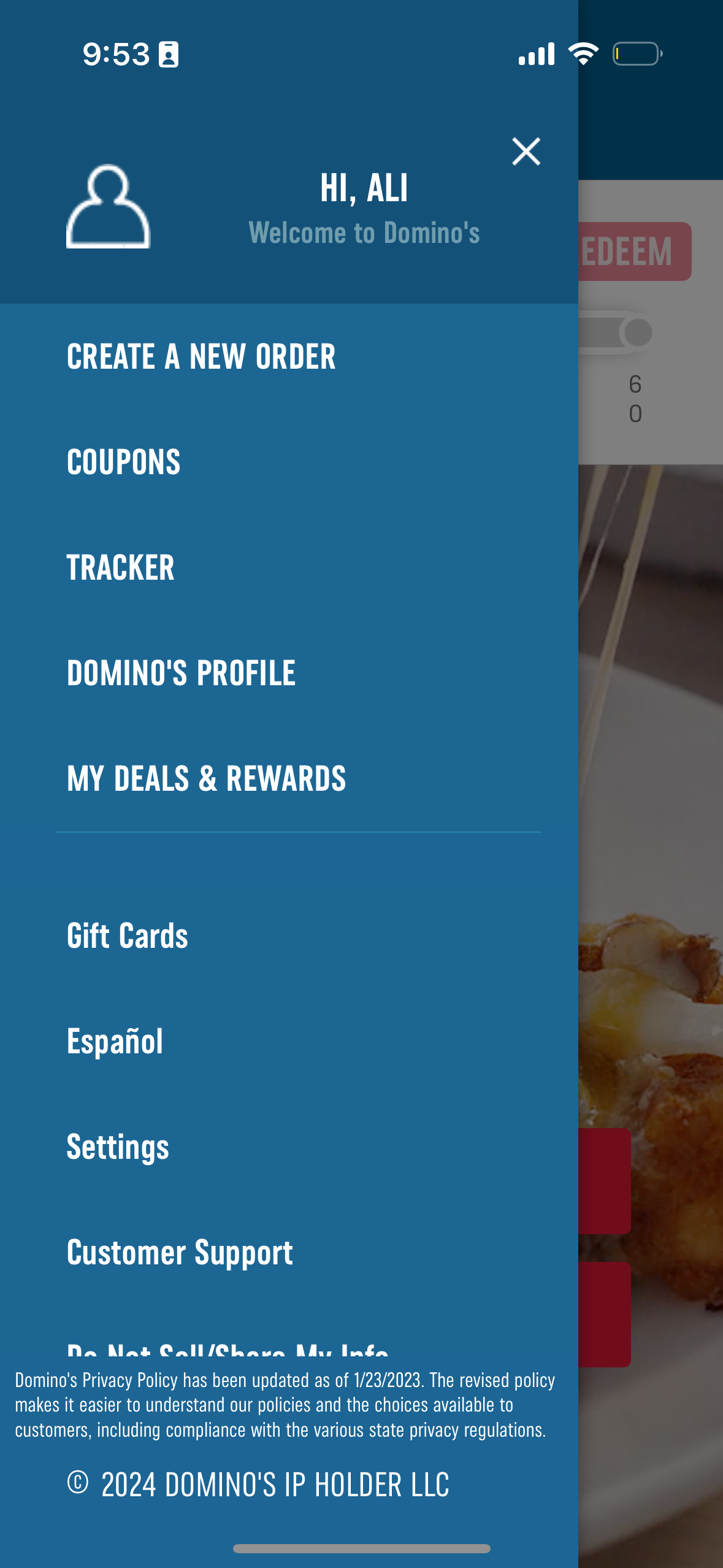 dominos navigation screenshot
