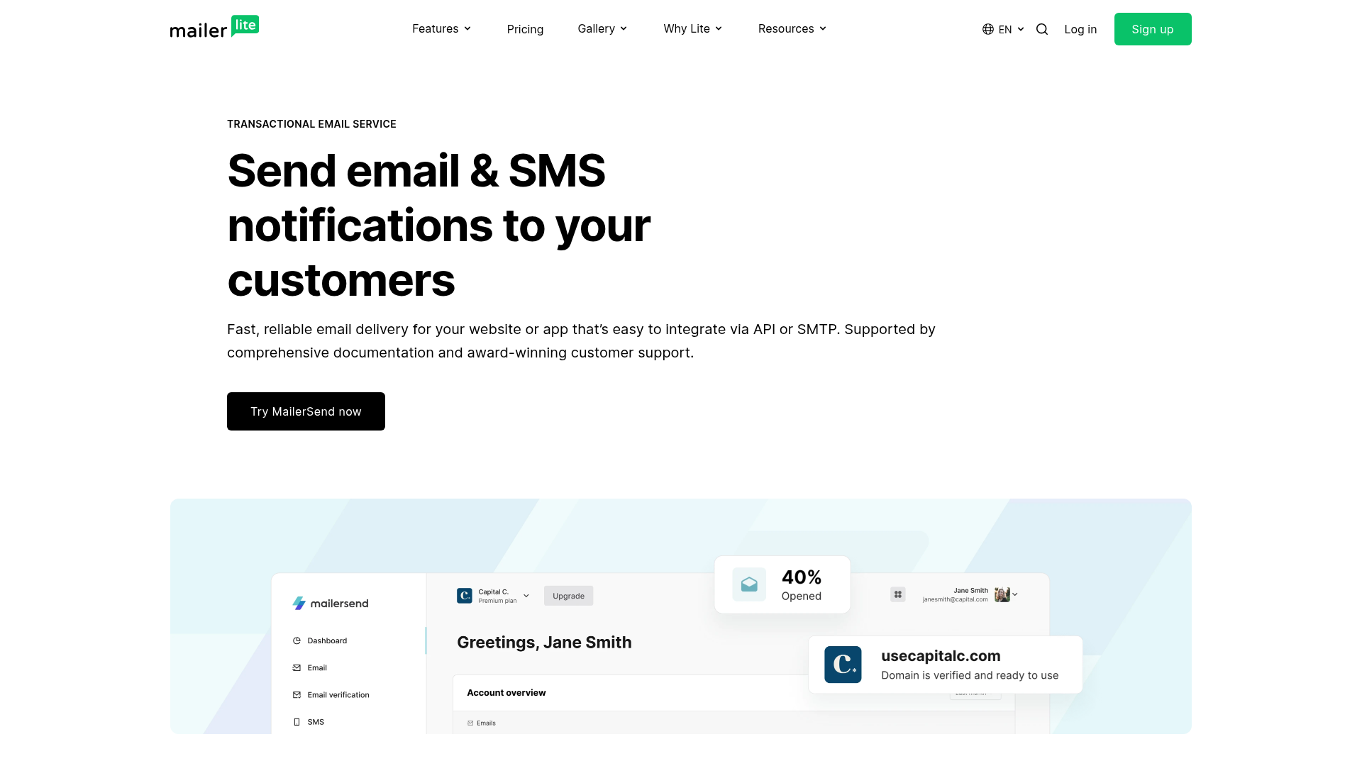 mailerlite notifications screenshot