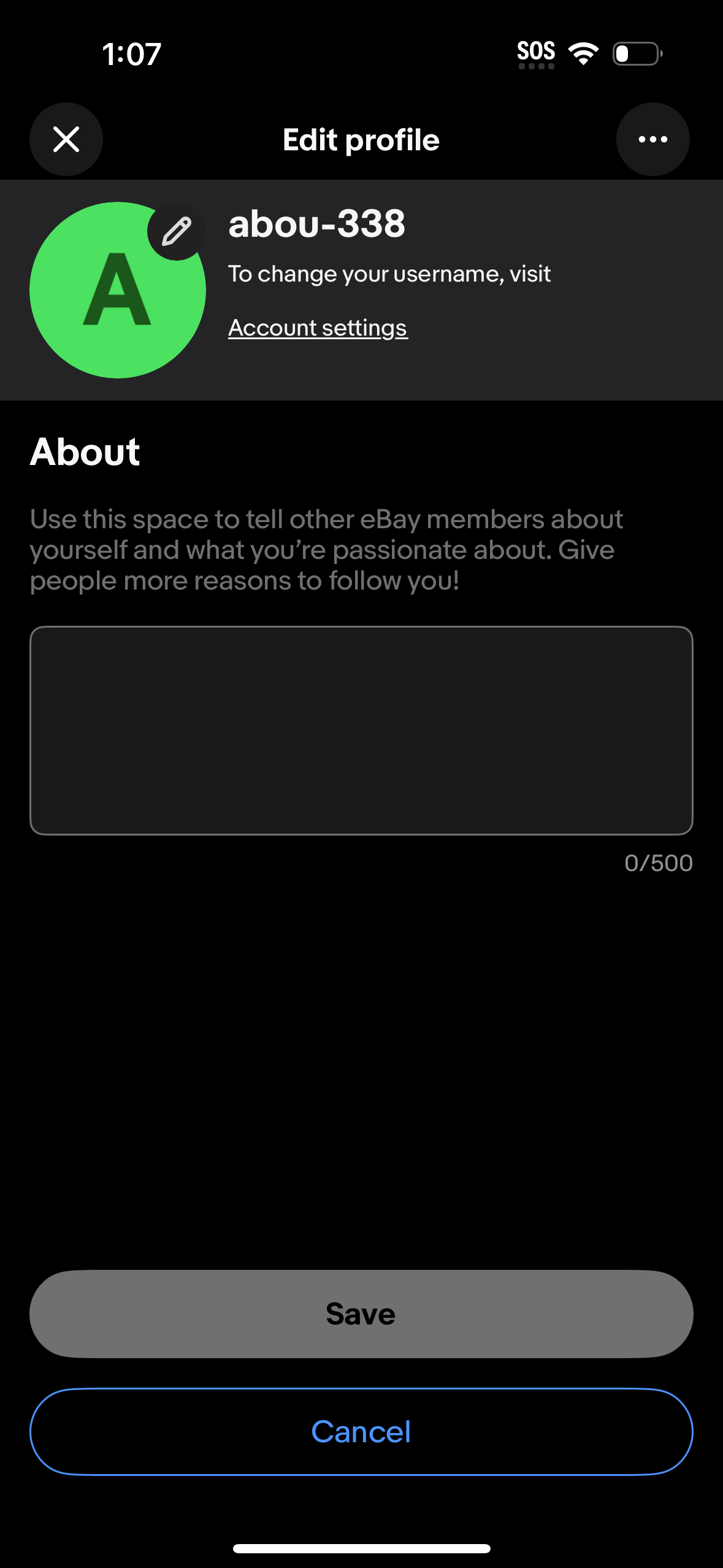 ebay profile screenshot
