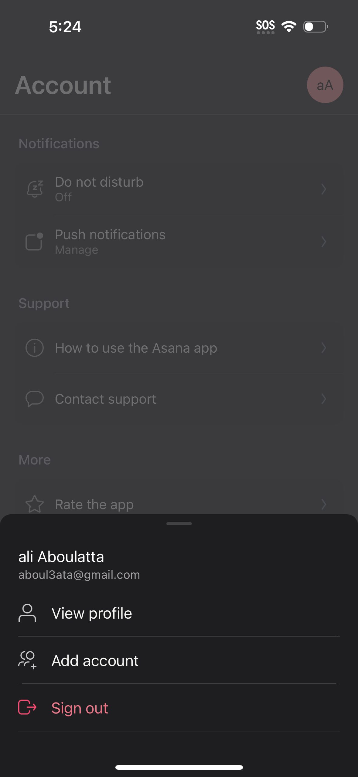 asana profile screenshot