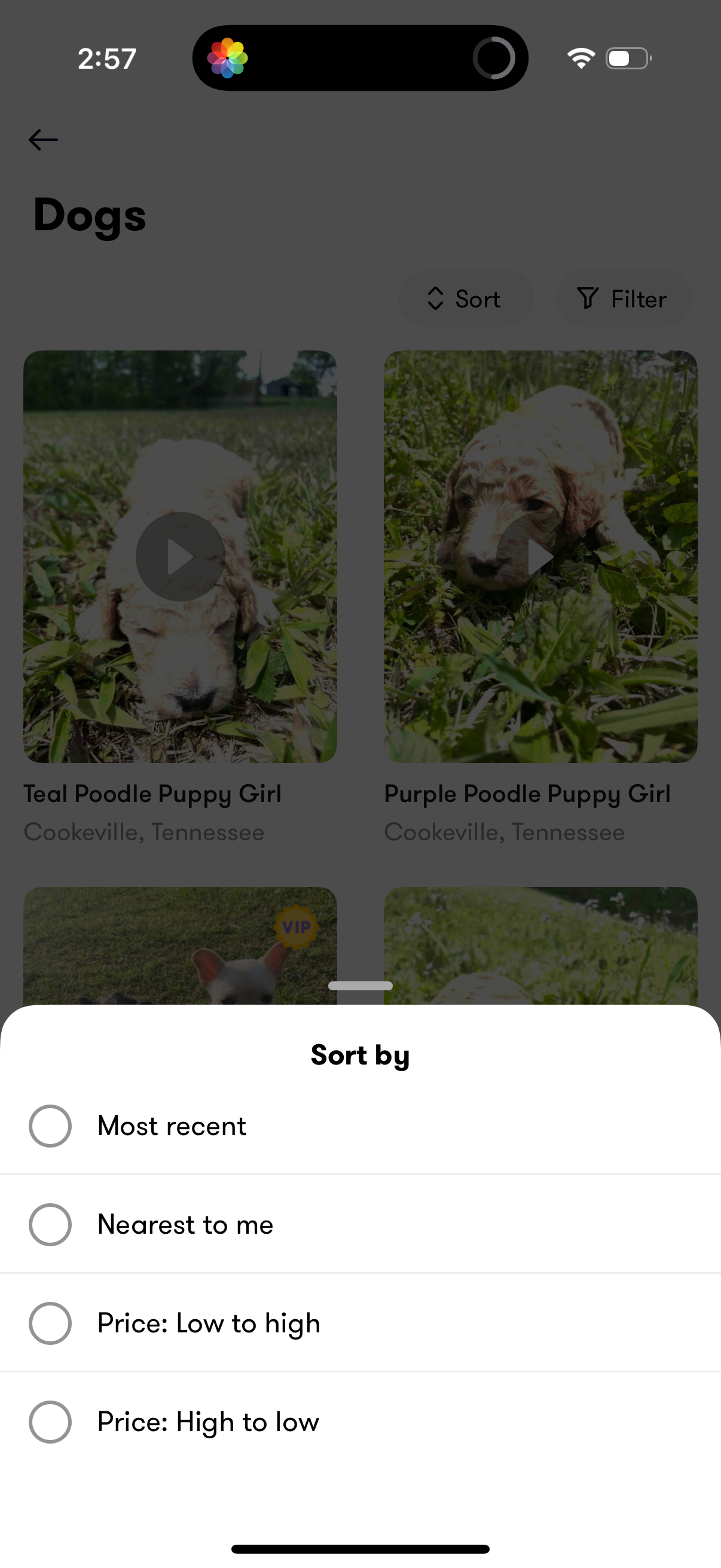 camlist search screenshot