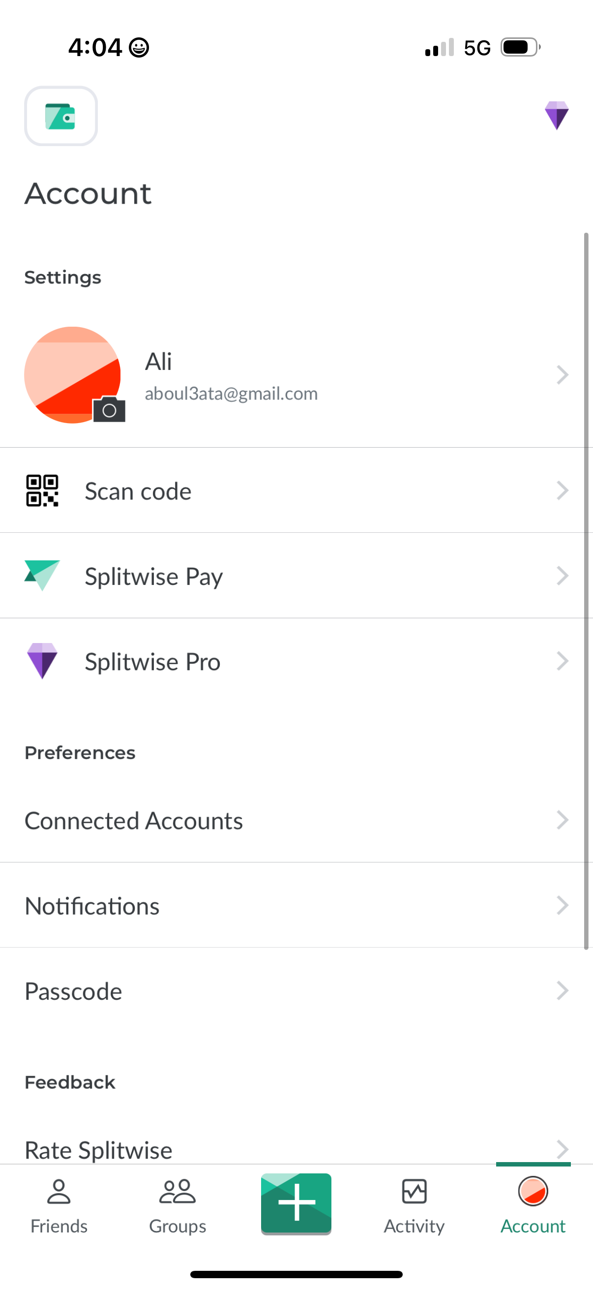 splitwise settings screenshot