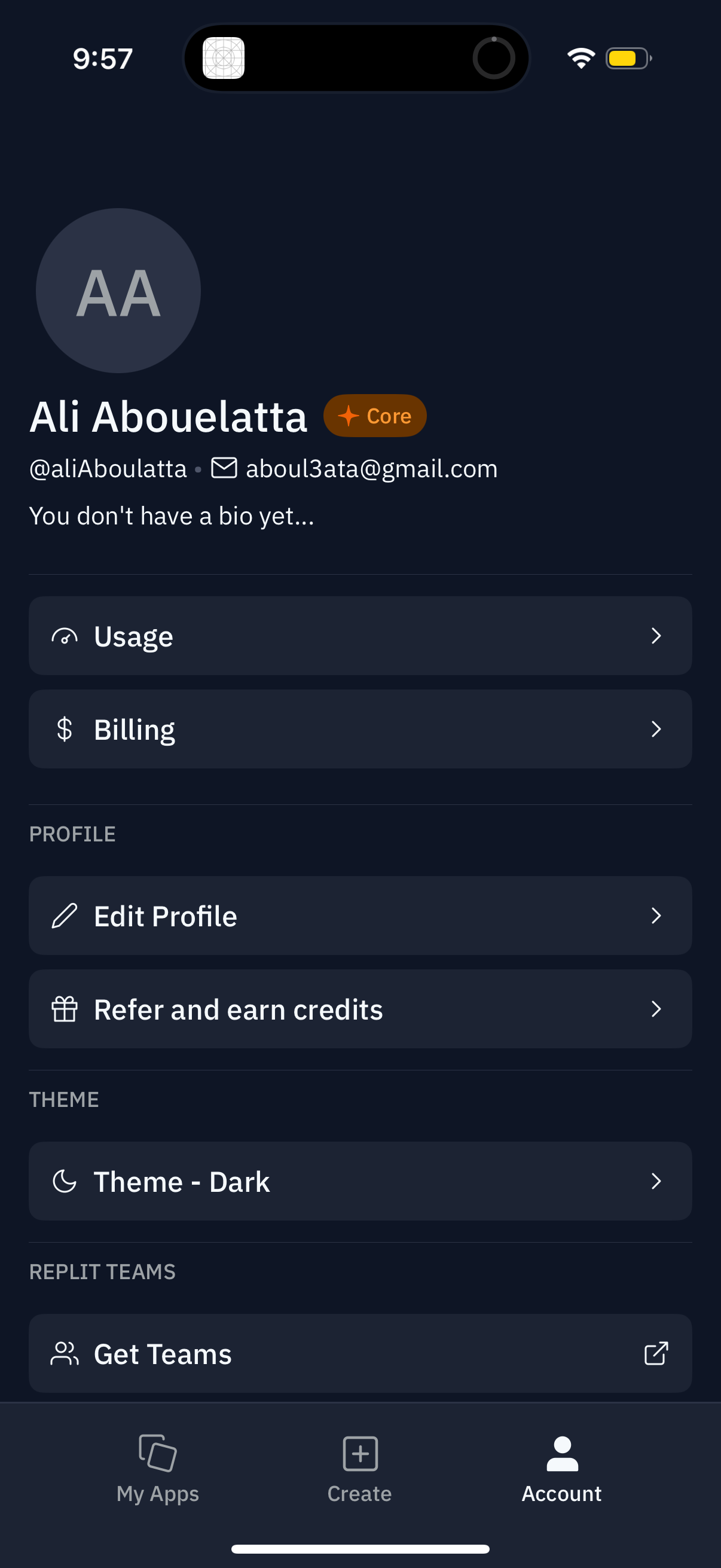 replit settings screenshot