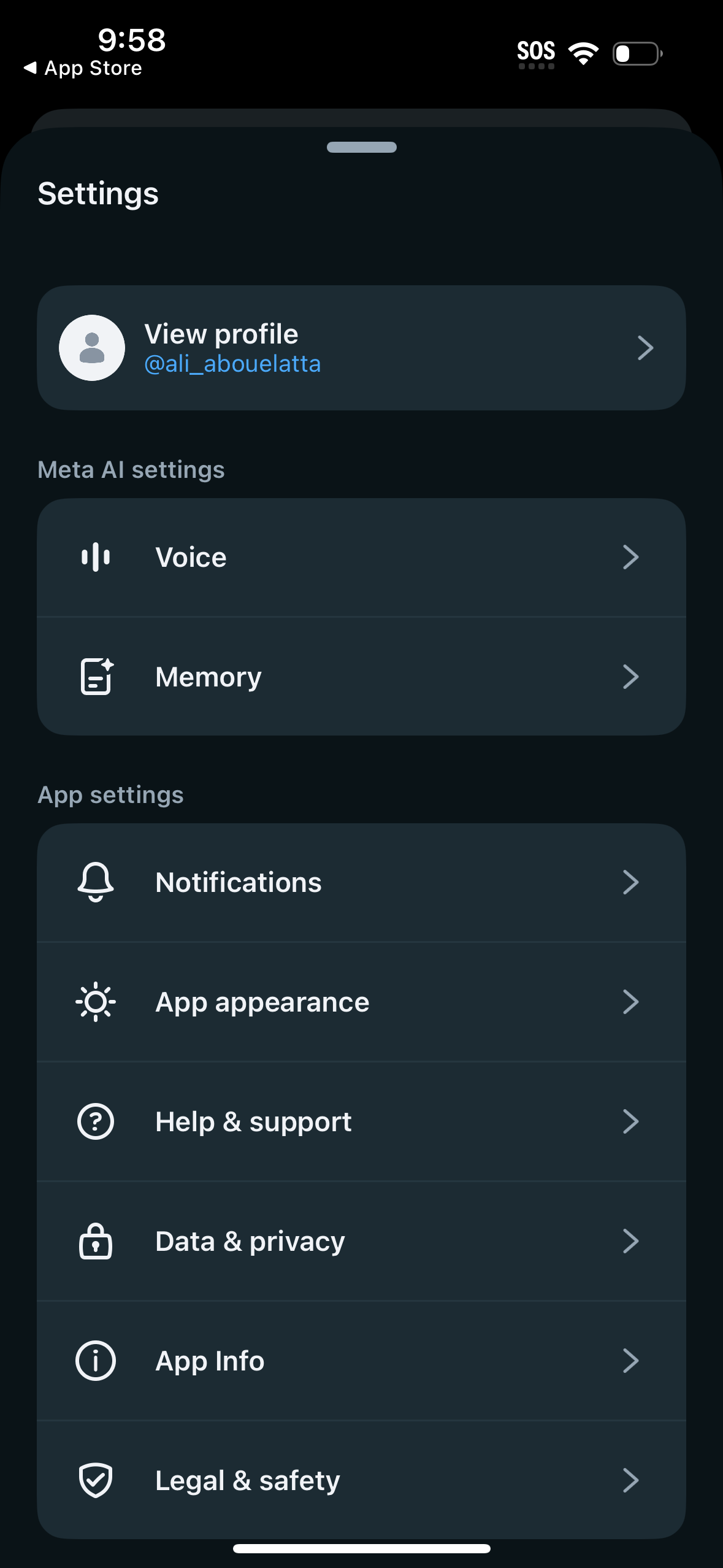 meta-ai settings screenshot