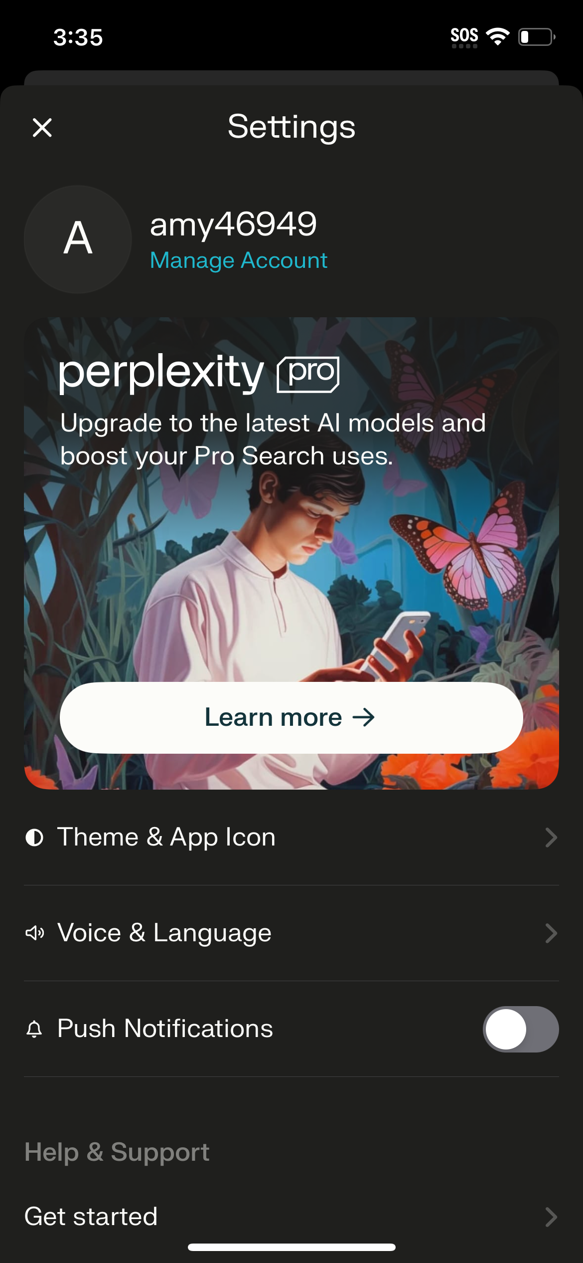 perplexity settings screenshot